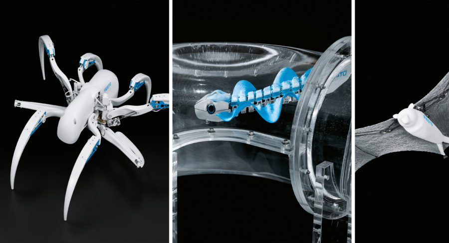 Festo Bionic学习网络