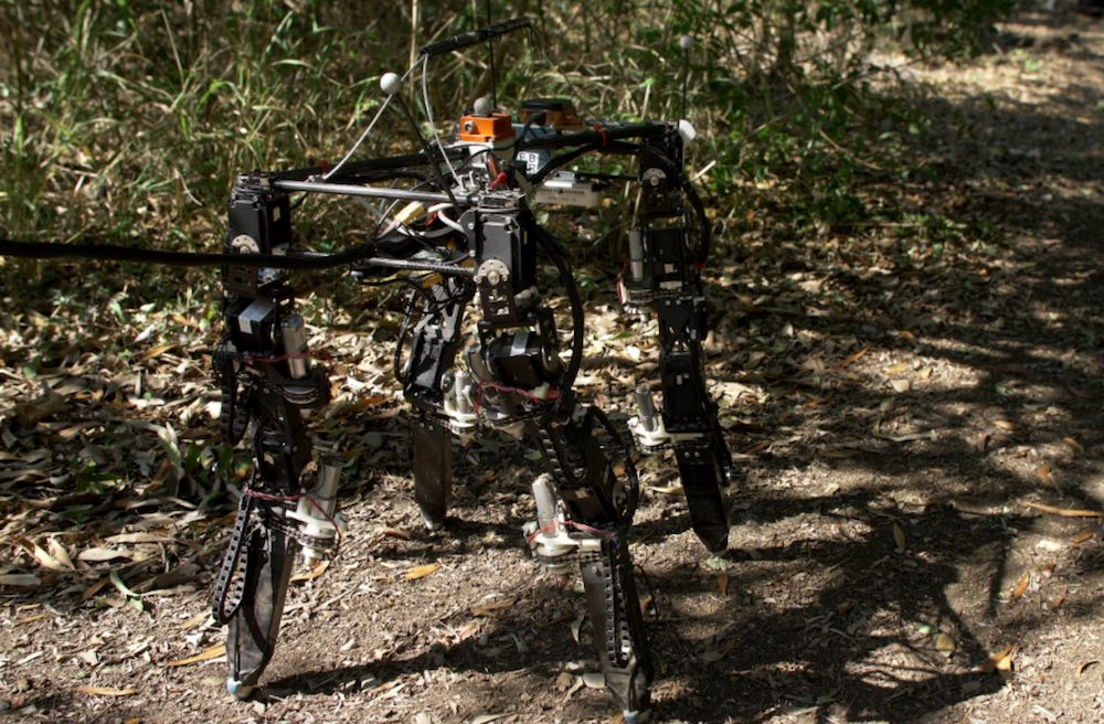 大章Quadruped.