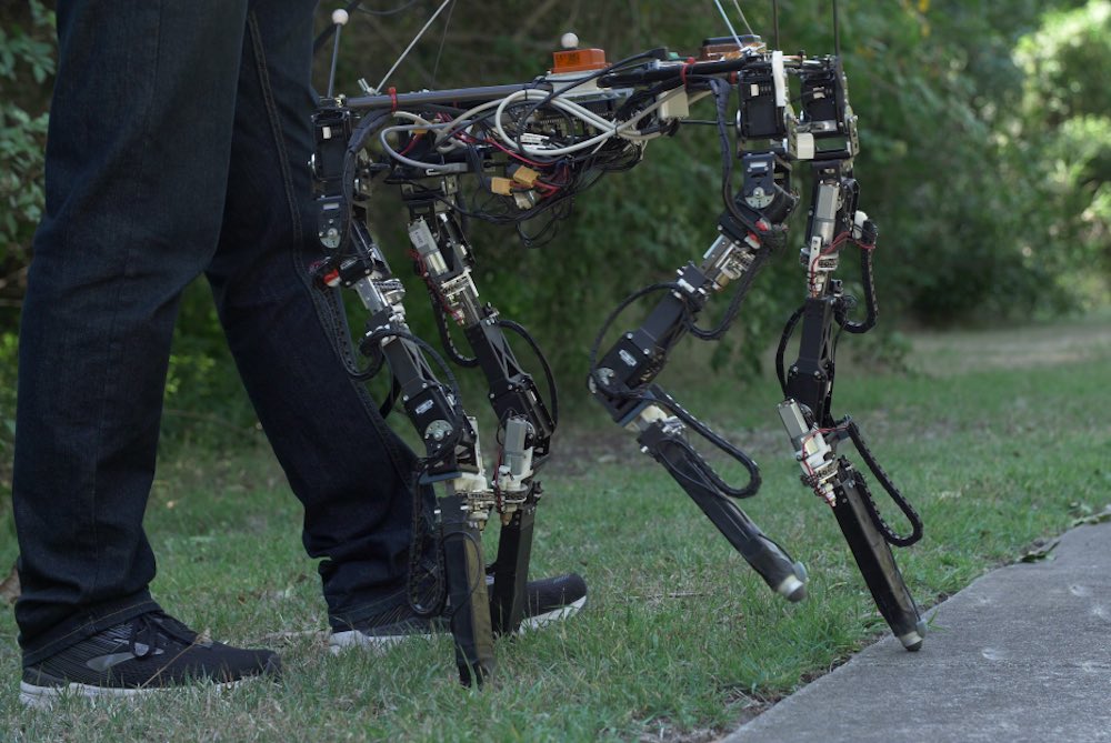 大章Quadruped.