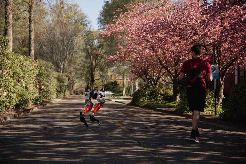 Cassie BipeDal Robot 5K