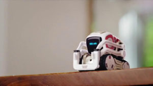 anki.