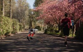 Cassie BipeDal Robot 5K